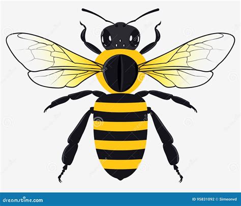 bee vector illustration